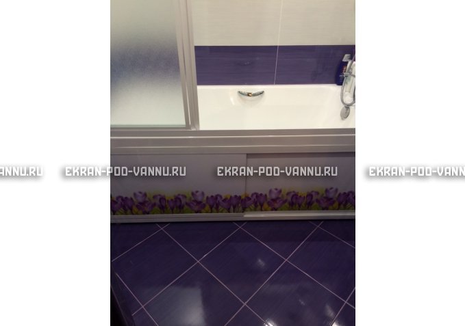 Экран на роликах EUROPLEX  Ирисы – купить по цене 12400 руб. в интернет-магазине в городе Новосибирск картинка 4