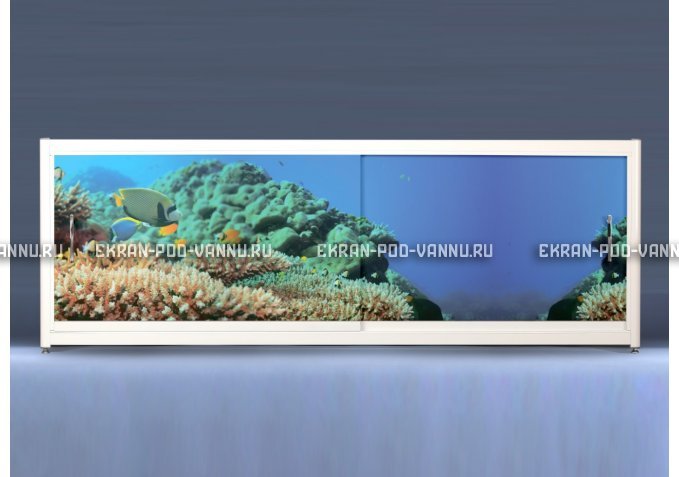 Экран на роликах EUROPLEX Коралловые рифы – купить по цене 12400 руб. в интернет-магазине в городе Новосибирск картинка 1